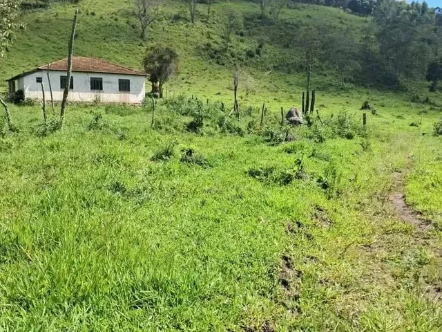 Imagem: Sitio em Desterro de Entre Rios Mg 9 Hectares
