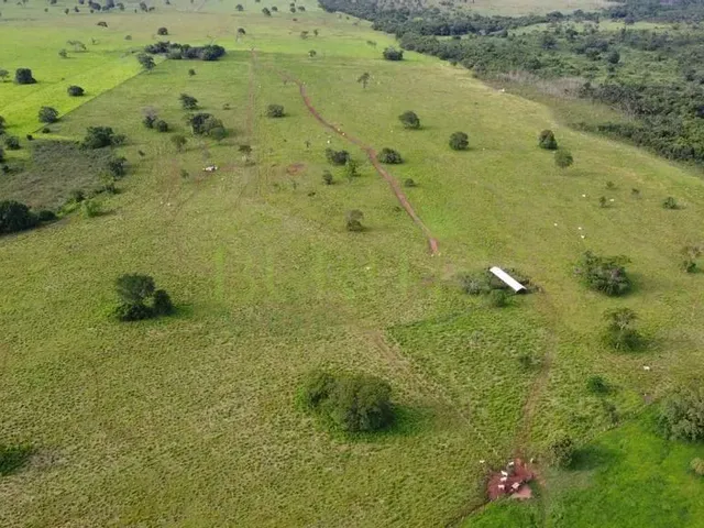 Imagem: Fazenda À Venda em Itarumã, Setor Central