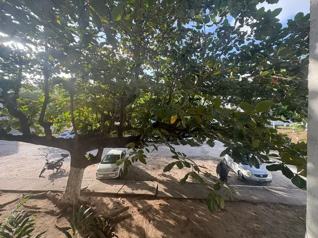 Imagem 14: Oportunidade - Apto em Jacarecica