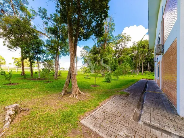 Imagem 4: Chácara com 3 Dormitórios À Venda com 700M² por R$ 6.500.000,00 no Bairro Contenda