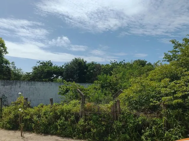 Imagem 3: Terreno para Alugar na Cidade de Eusebio-Ce