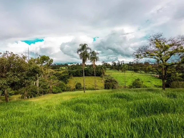 Imagem: Vendo 15 Hectares de Terra Dentro da Expansão