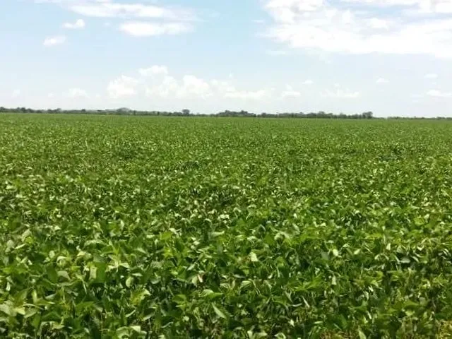 Imagem: R$190 Milhões Fazenda de 260 Alqueires