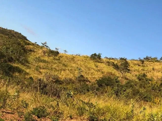 Imagem: Arrendo Fazenda de 18 Alqueires Próxima
