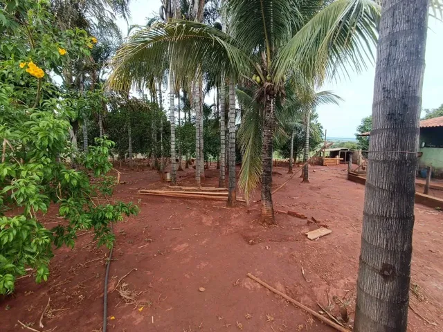 Imagem 2: Ótima Propriedade!Oportunidade Única