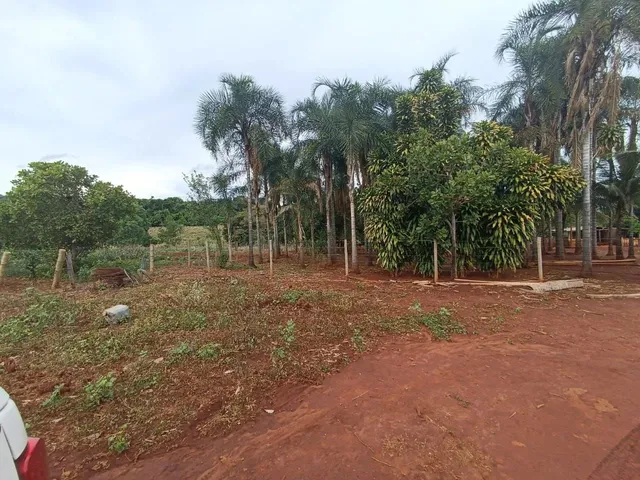 Imagem 3: Ótima Propriedade!Oportunidade Única