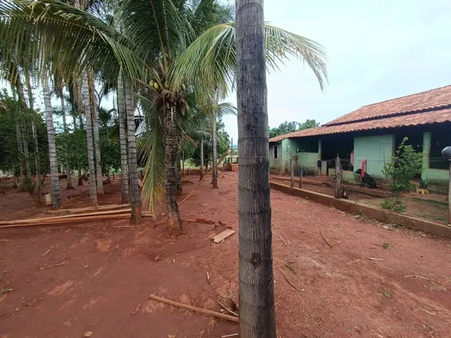 Imagem 5: Ótima Propriedade!Oportunidade Única