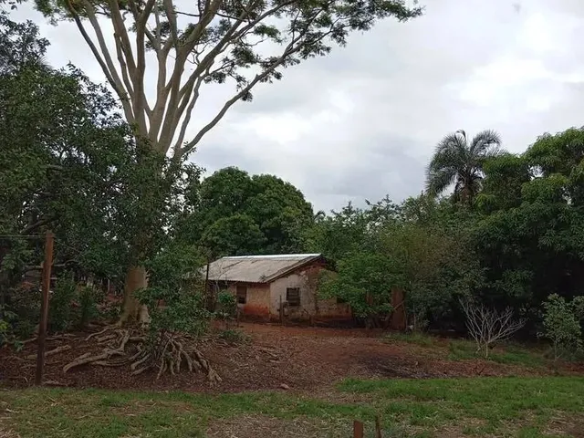 Imagem: Vendo Excelente Área Ao Lado da Br 153