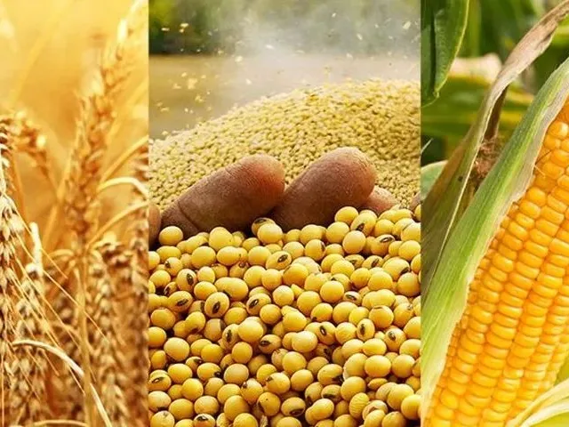 Imagem: Vende-Se Franquia Especializada em Commodities