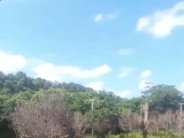Imagem: Vendo Terreno Próx. Sta Teresa