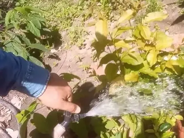 Imagem 5: Vendo Terreno Próx. Sta Teresa