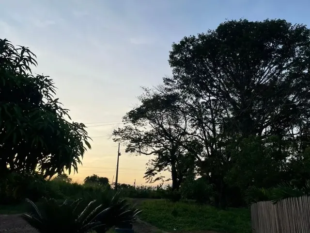 Imagem 2: Chácara À Venda em Rorainópolis