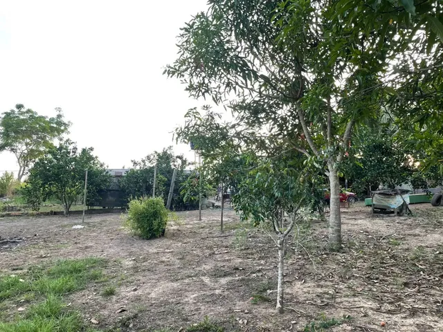 Imagem 4: Chácara À Venda em Rorainópolis