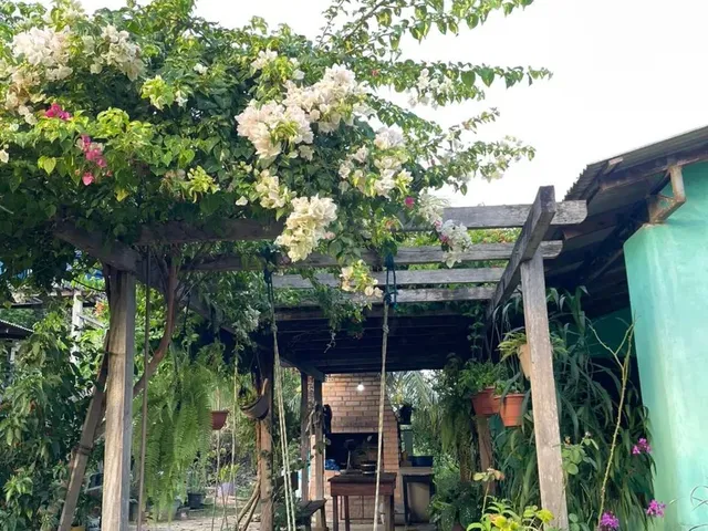 Imagem 7: Chácara À Venda em Rorainópolis