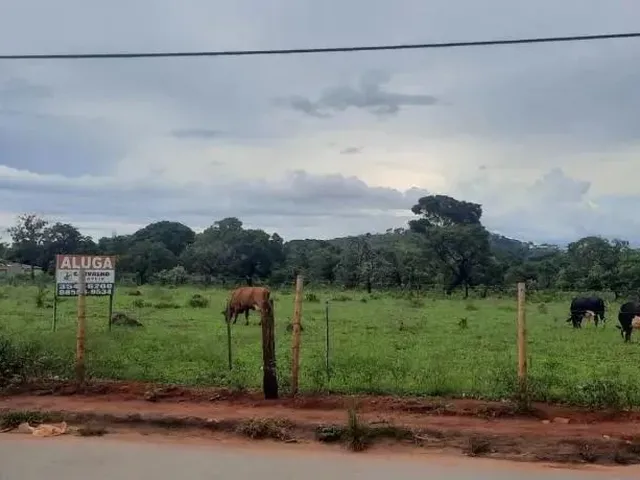 Imagem: Area para Locação de 33.000M² - Av. La