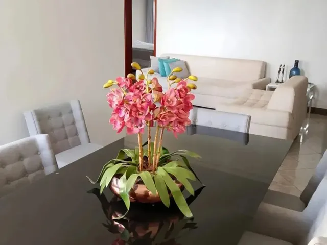 Imagem 6: Oportunidade Apartamento no América do Norte