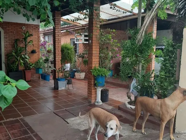 Imagem 12: Excelente Casa no Centro de Cuiabá