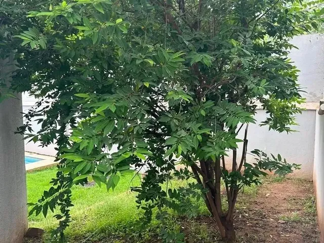Imagem 13: Sobrado em Condomínio para Venda, Despraiado, Cuiabá