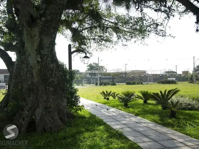 Imagem 3: Terreno Residencial em Sans Souci