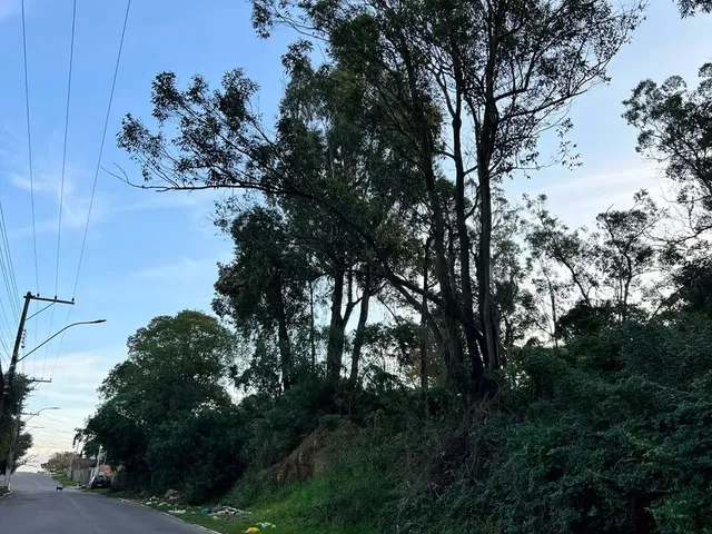 Imagem: Vendo Terreno na Av Liberdade