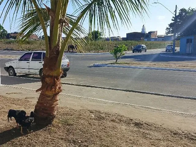 Imagem 2: Apartamento Maceió1