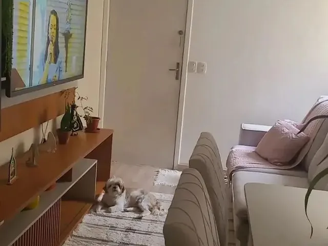 Imagem 2: Apartamento À Venda no Condomínio Bosque dos Jacarandás, Benedito Bentes, Maceió, Al