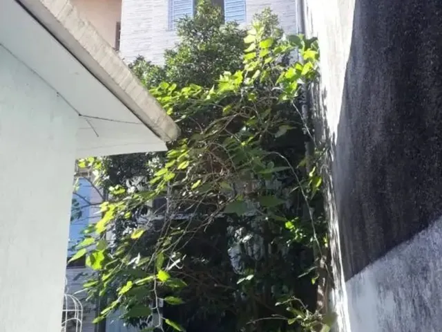 Imagem 8: Casa Assobradada - Centro - Sp