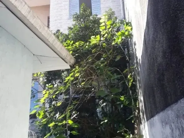 Imagem 14: Casa Assobradada - Centro - Sp