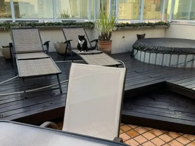 Imagem 6: Cobertura - Jardim - Sp. Churrasqueira, Varanda, Área de...