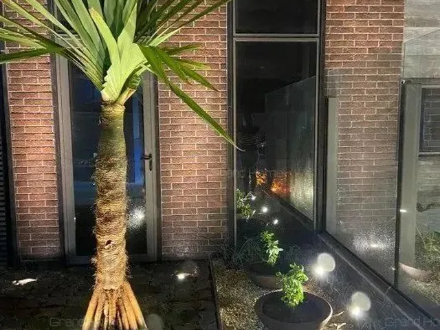 Imagem 9: Apartamento 4 Quartos em Centro