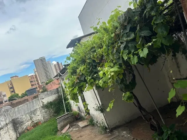 Imagem 4: Vendo Casa/ Ótima Localização/ Terreno Grande