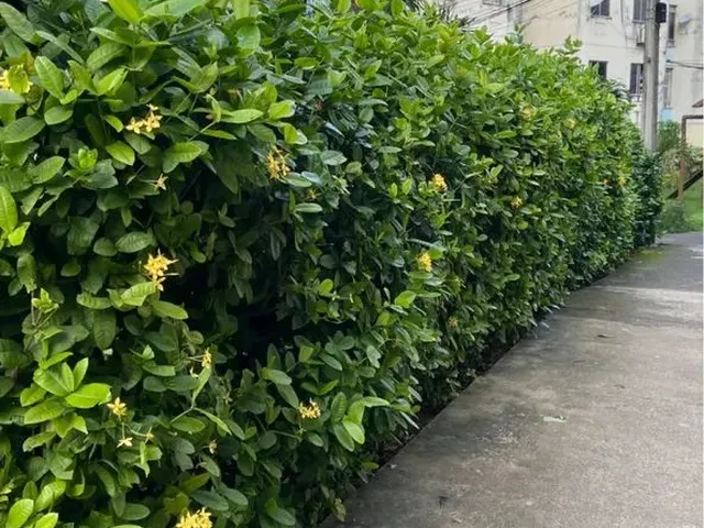 Imagem: Venda de Apartamento