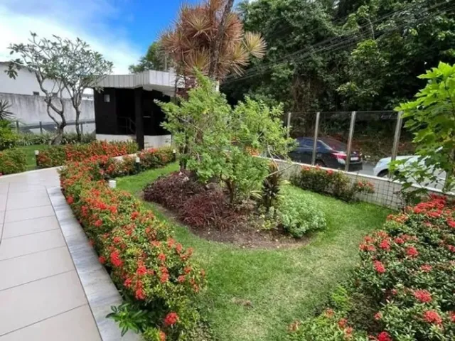 Imagem: Amplo Apartamento de 216M² no Parque Bela