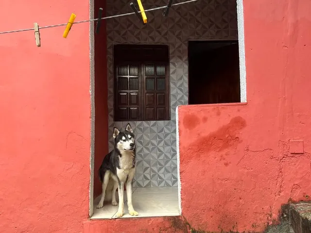 Imagem: Vendo Casa 2/4 Perto do Final de Linha de