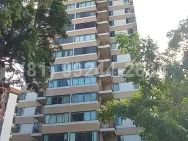 Imagem: Barão de São Borja (I/T