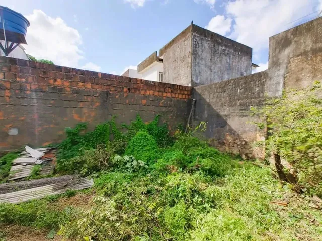 Imagem 8: Casa para Venda em Recife, Jardim São Paulo, 2 Dormitórios, 1 Banheiro, 1 Vaga