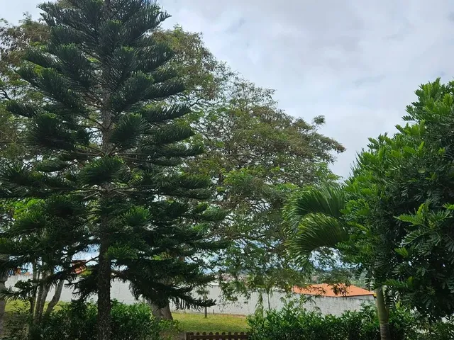 Imagem: Vendo Casa de Campo em Gravata