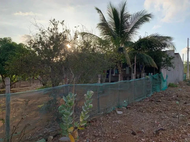 Imagem: Vendo Ou Troco Casa em Bezerros/Pe por Terreno