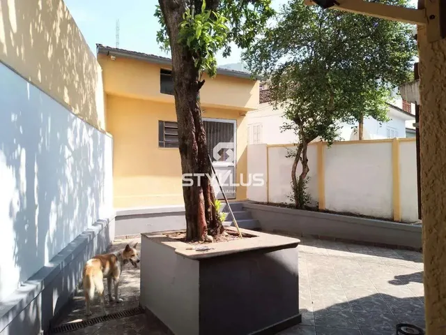 Imagem 10: Engenho de Dentro