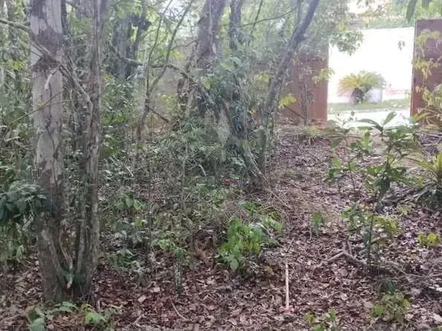 Imagem: Terreno no Condomínio Caravelas santa Maria