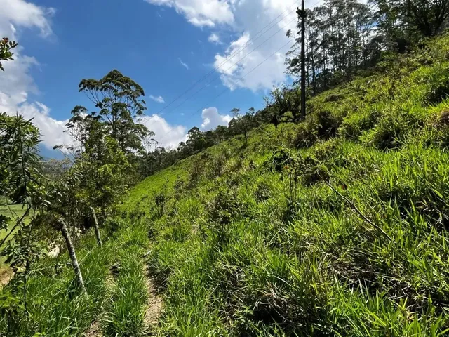 Imagem: Terreno À Venda, 503 M² por R$ 70.000,00
