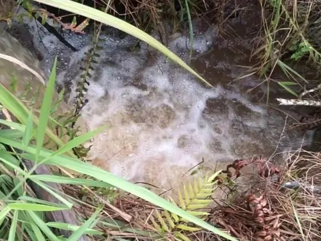 Imagem: Sítio 14 Alqueires Entre Pinda e Taubaté