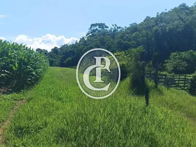 Imagem: Fazenda 34 Alqueires Pecuária e Agricultura