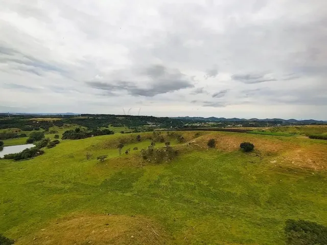 Imagem: Venda de Chácara Perfeita com Jardim e