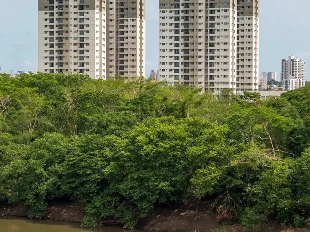 Imagem 9: Imóvel para Aluguel Possui 70 Metros Quadrados com 3 Quartos em Grande Terceiro