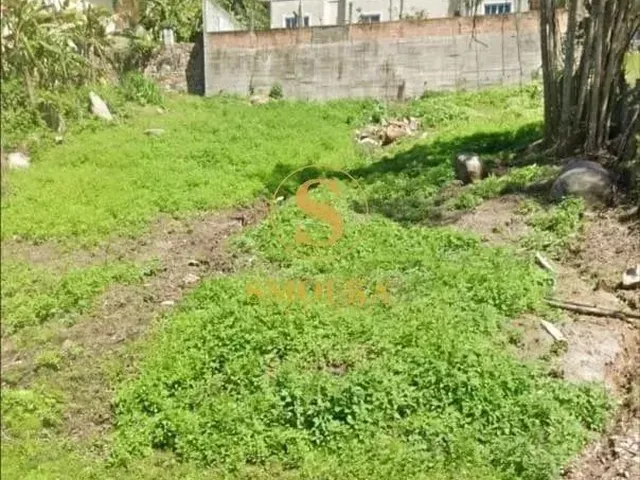 Imagem 3: Terreno de 720 M² À Venda na Praia Brava, Florianópolis - Sc