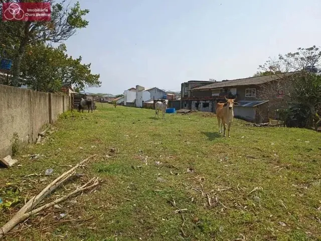 Imagem: Terreno - Florianópolis Sc