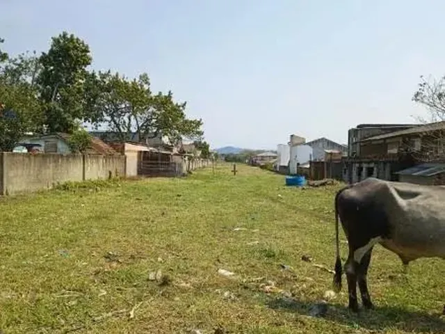 Imagem 2: Terreno - Florianópolis Sc