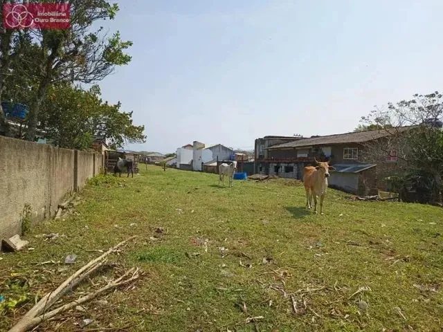 Imagem 11: Terreno - Florianópolis Sc