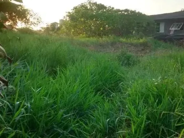 Imagem 7: Terreno - Florianópolis Sc
